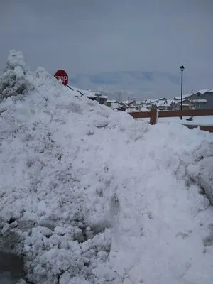 All American Ground Maintenance Logo