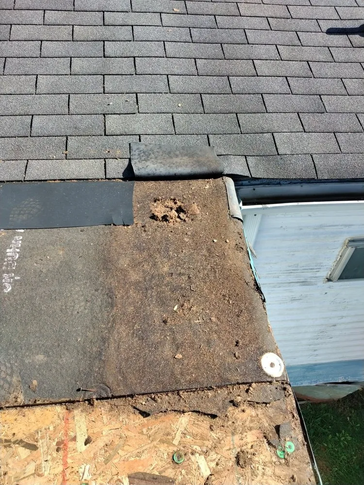 Reliable lawn care service in Johnson City, TN by All American Handyman