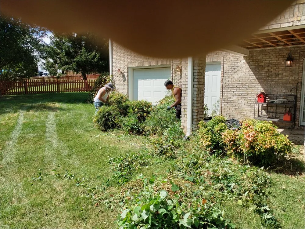 Reliable lawn mowing service for outdoor upgrades across Johnson City, TN - All American Handyman