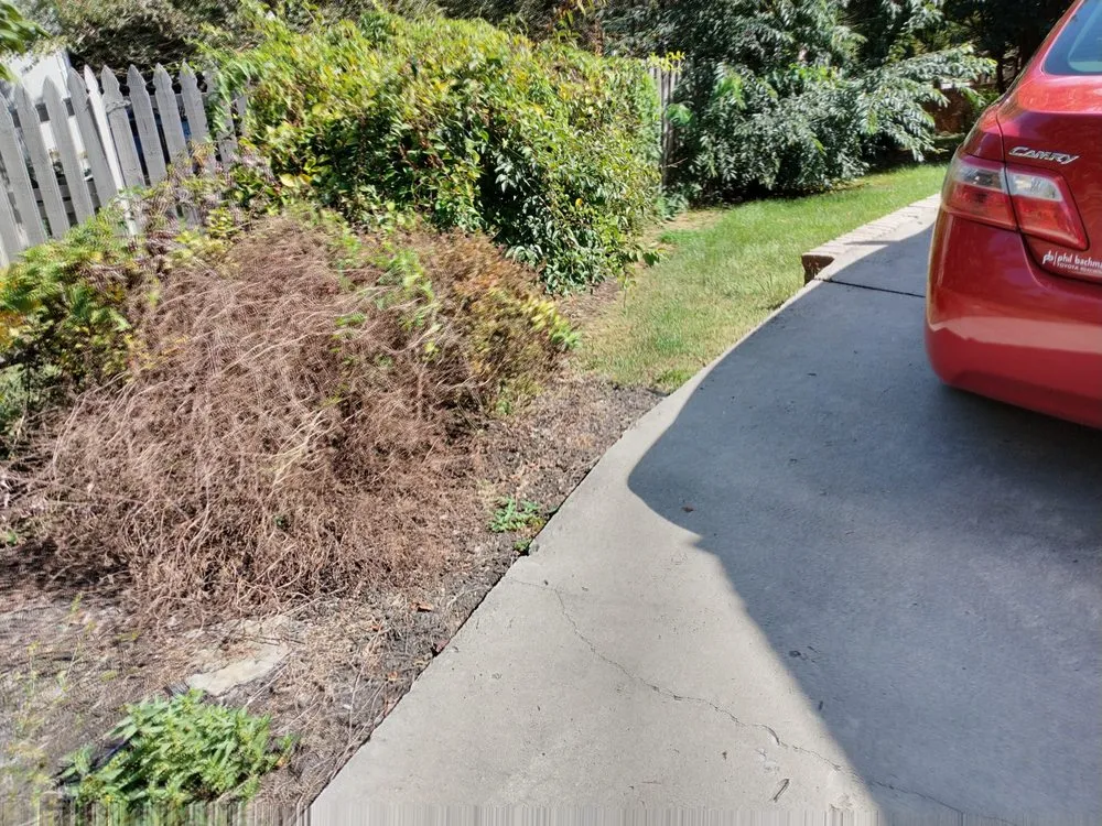 Custom lawn care service in Johnson City, TN - All American Handyman