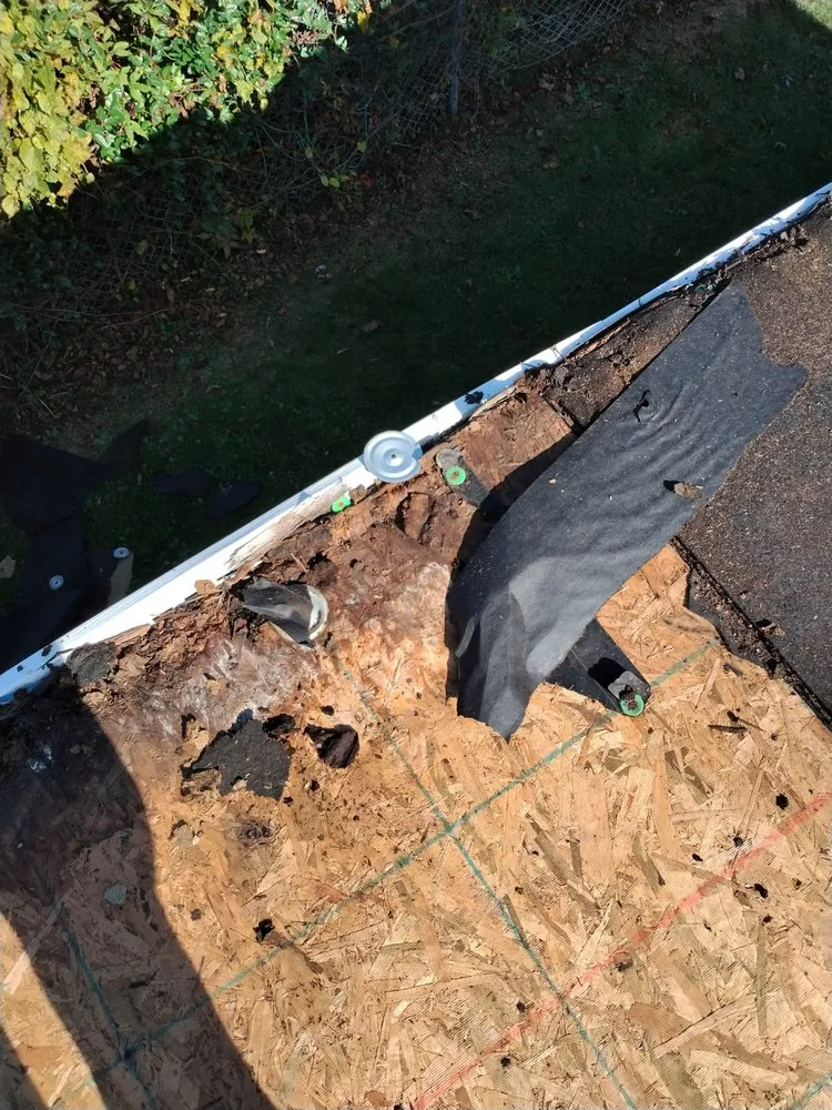 Expert outdoor landscaping for homes across Johnson City, TN - All American Handyman