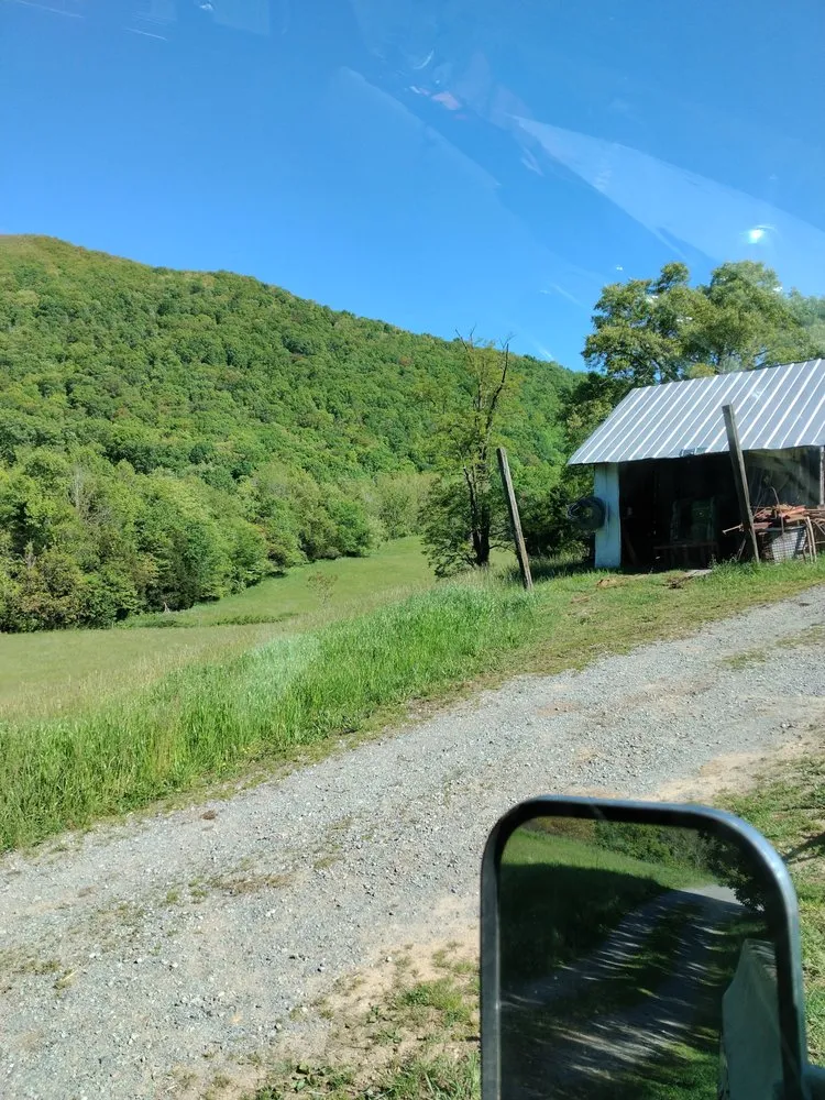 Local yard cleanup service in Johnson City, TN - All American Handyman