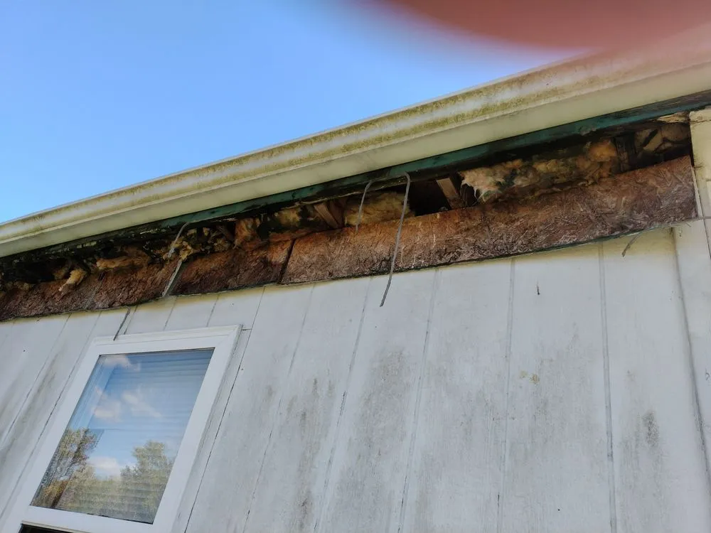 Affordable landscape installation for homes across Johnson City, TN - All American Handyman