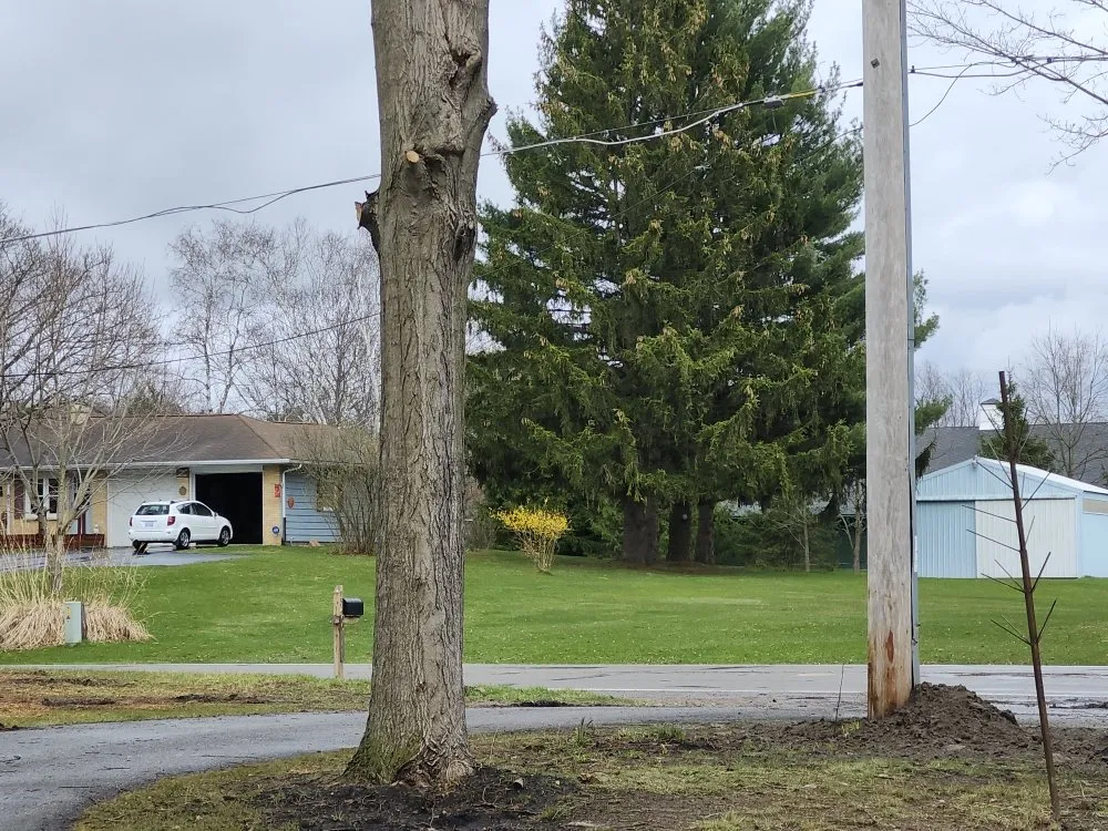 Trusted lawn care service for year-round maintenance in Middleville, MI by All American  Home & Business