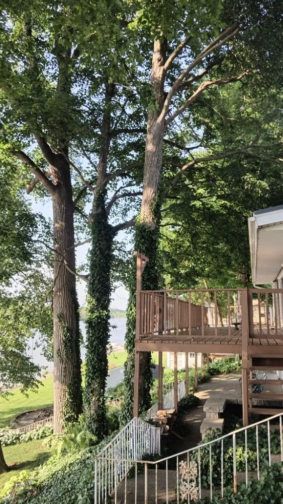 Custom garden landscaping in Middleville, MI by All American  Home & Business