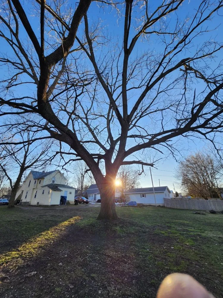 Top-rated yard maintenance for year-round maintenance in Middleville, MI by All American  Home & Business