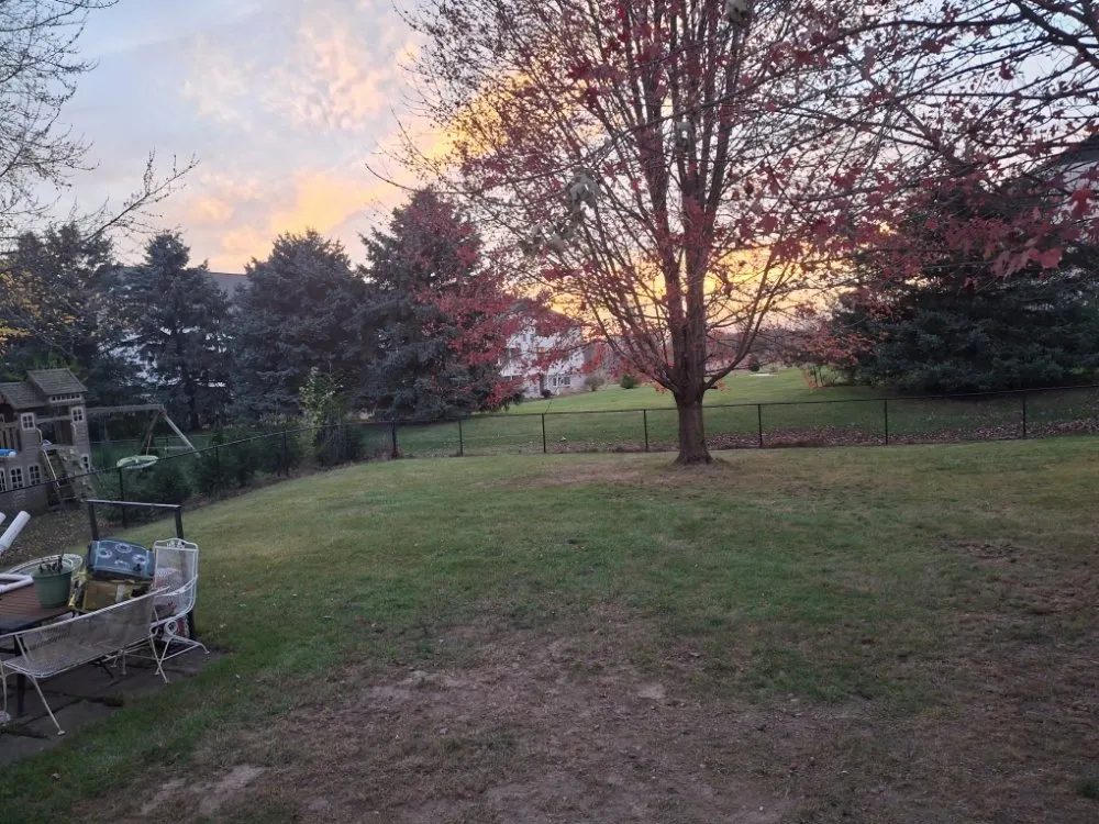 Trusted yard maintenance experts serving Middleville, MI - All American  Home & Business