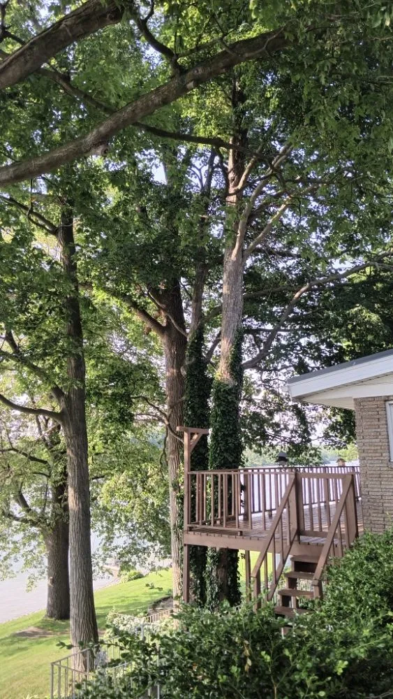 Local lawn mowing service for outdoor upgrades in Middleville, MI by All American  Home & Business