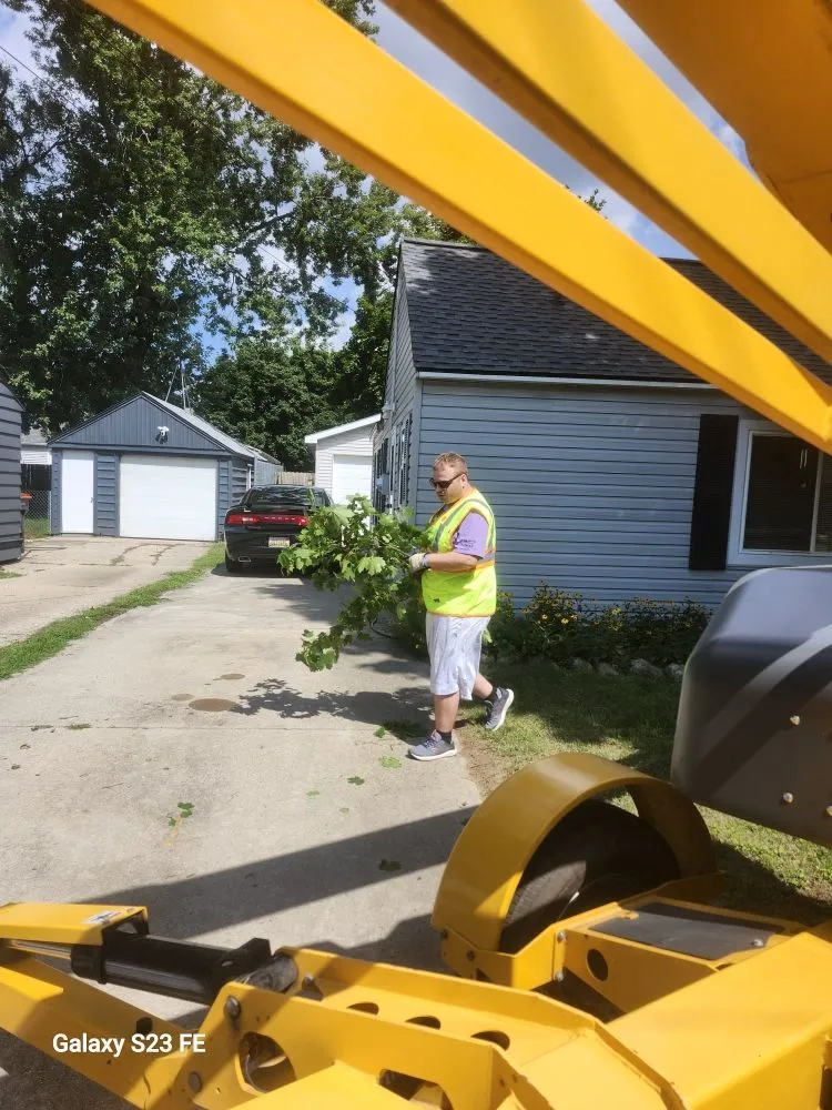 Top-rated outdoor landscaping experts serving Middleville, MI - All American  Home & Business