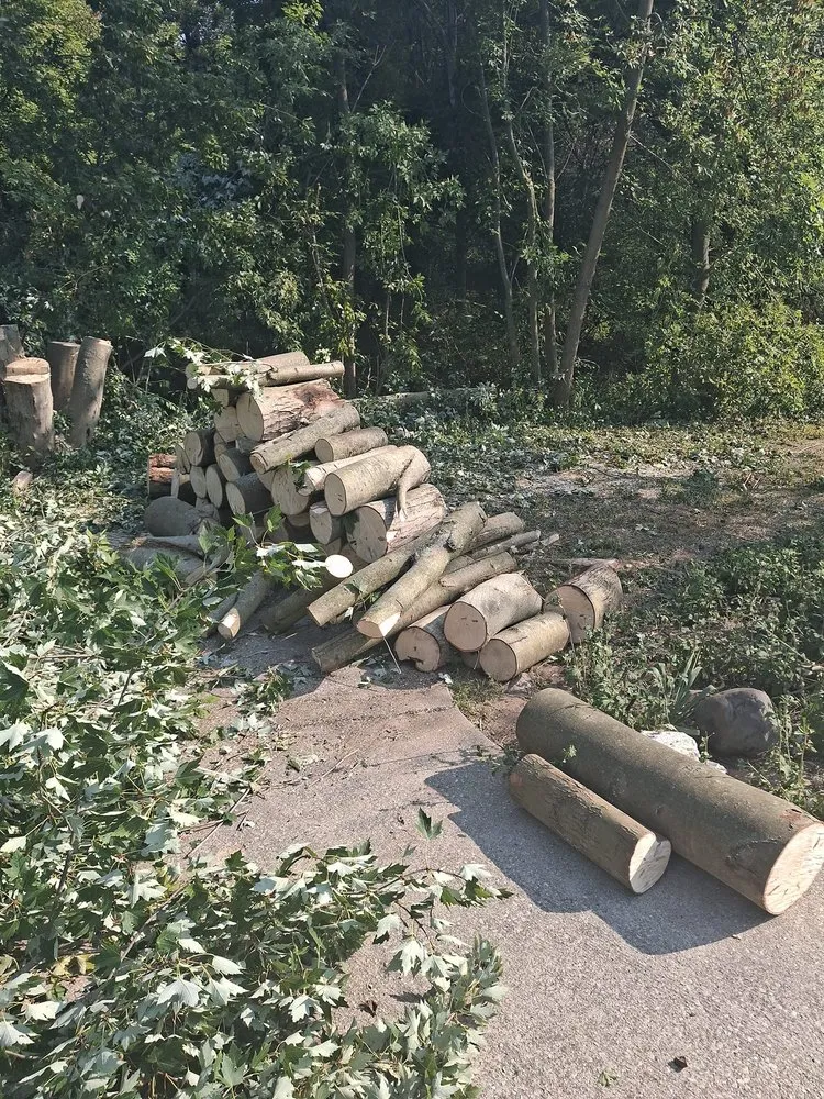 Expert outdoor landscaping in Middleville, MI by All American  Home & Business