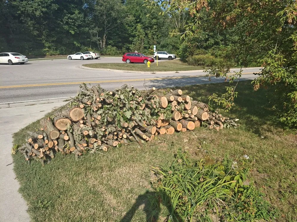 Top-rated landscaping services with custom design in Middleville, MI by All American  Home & Business