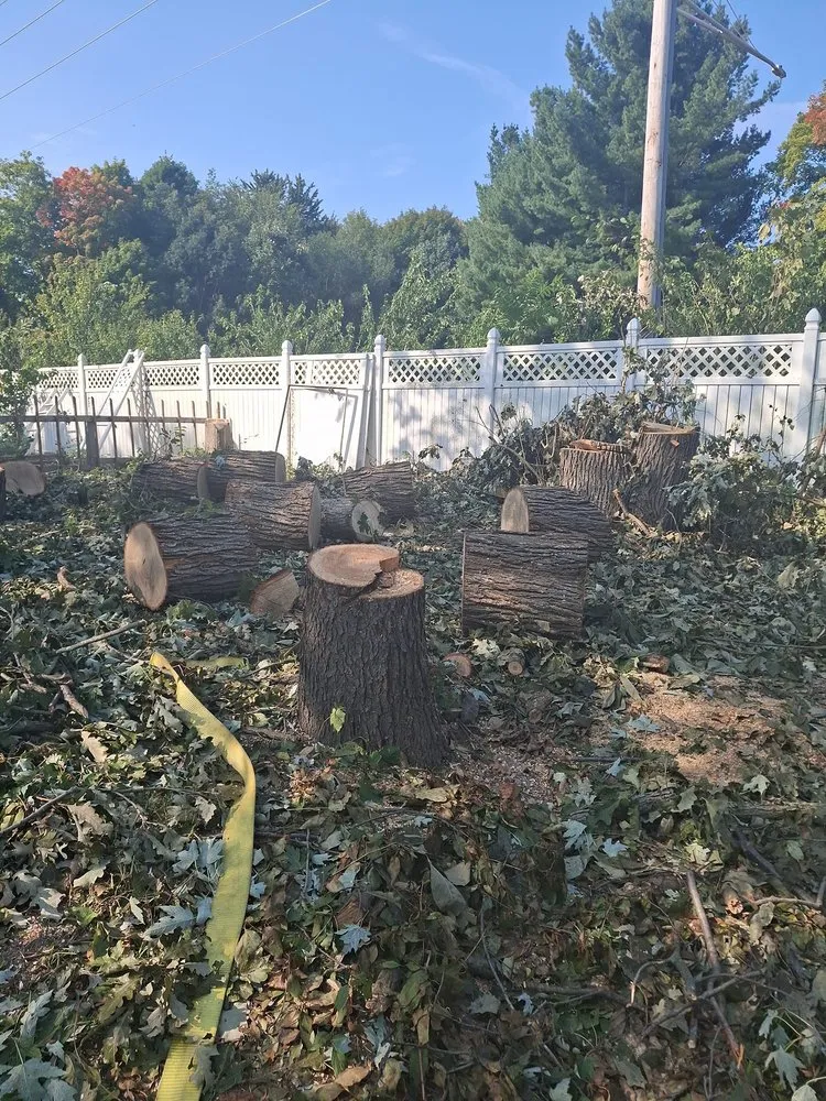 Trusted landscape design in Middleville, MI by All American  Home & Business