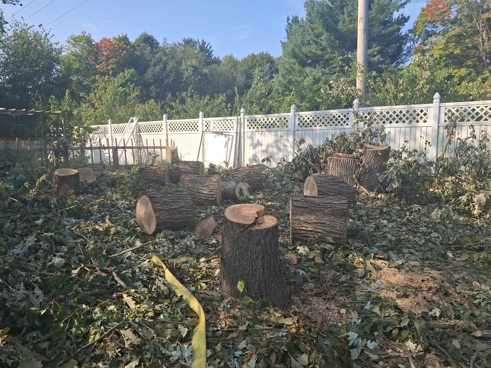 Trusted yard cleanup service for homes in Middleville, MI by All American  Home & Business