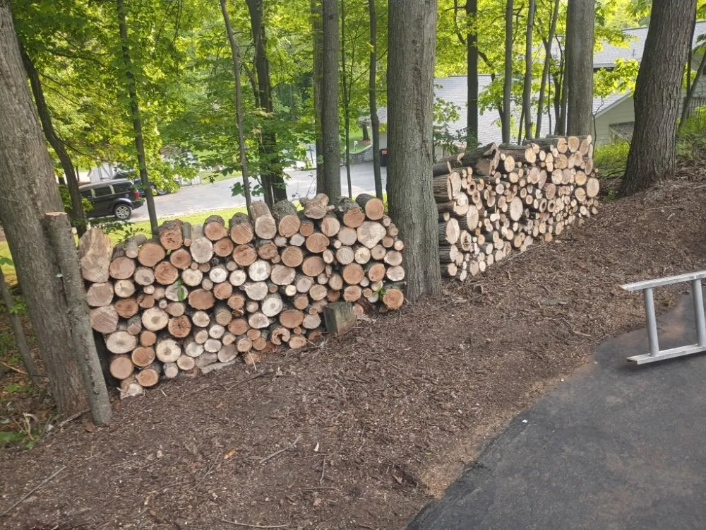 Expert yard cleanup service experts serving Middleville, MI - All American  Home & Business