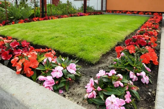 Top-rated landscape design for outdoor upgrades across Shawnee, KS - All American Home and Lawn