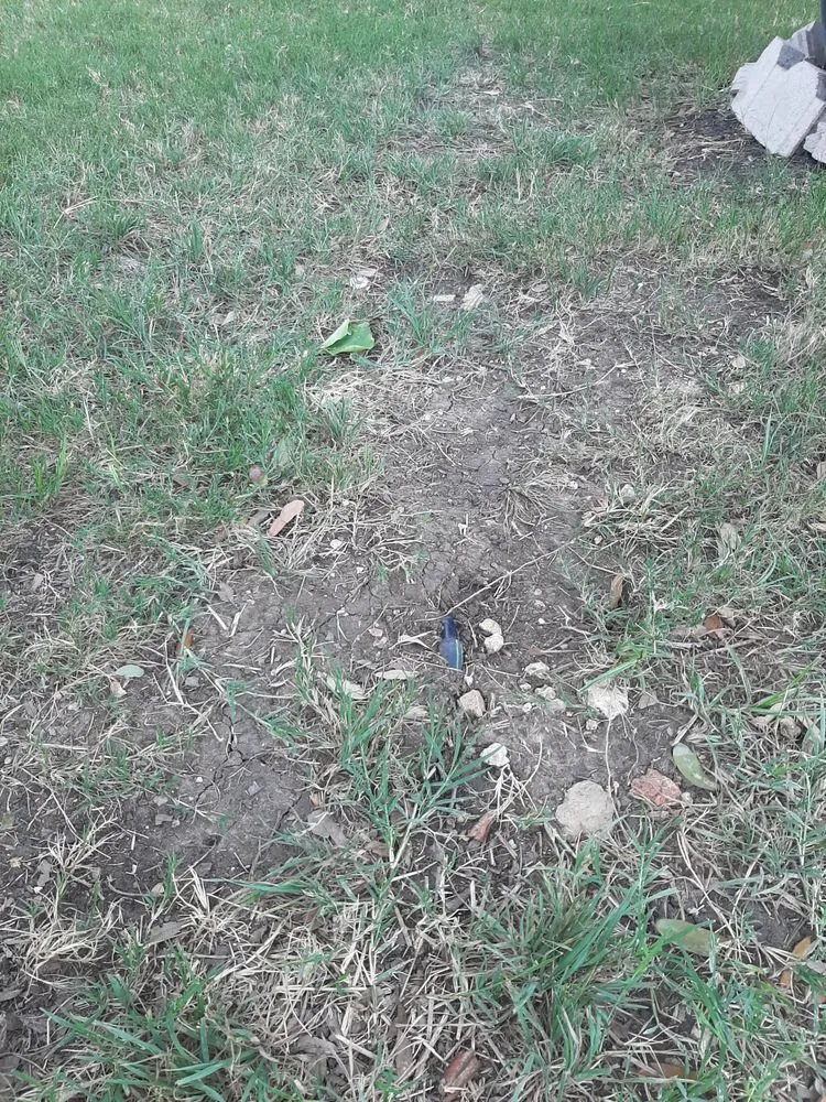 Local yard maintenance in San Antonio, TX - All American Irrigation Systems