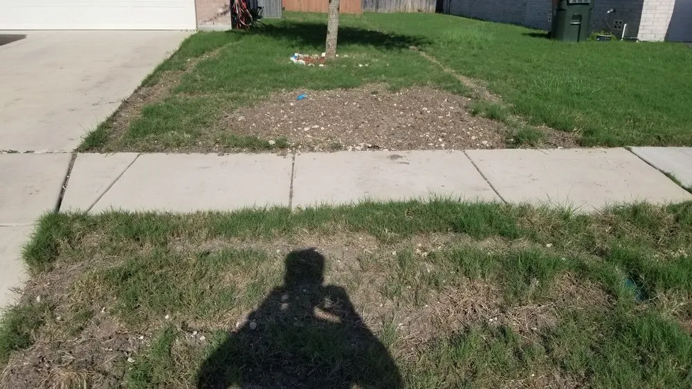 Expert yard cleanup service in San Antonio, TX by All American Irrigation Systems