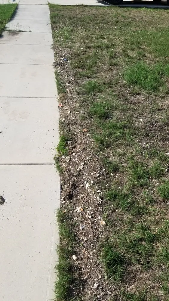 Affordable outdoor landscaping for outdoor upgrades in San Antonio, TX by All American Irrigation Systems