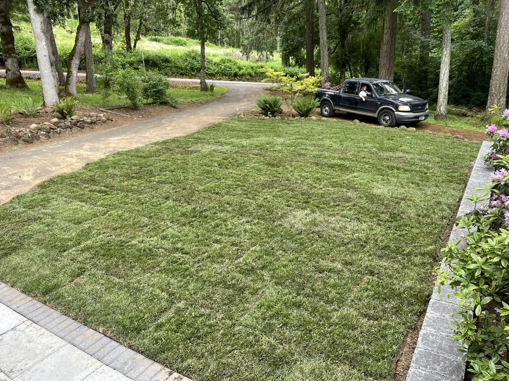 Top-rated yard cleanup service in Portland, OR - All American Land Maintenance and Handyman