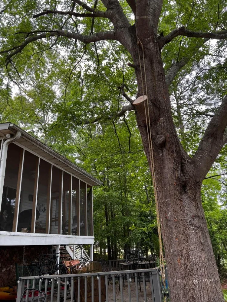 Local landscape design for homes in Belton, SC by All American Landscape & Pressure Washing