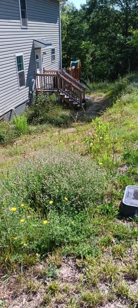 Local garden landscaping for outdoor upgrades in Belton, SC by All American Landscape & Pressure Washing