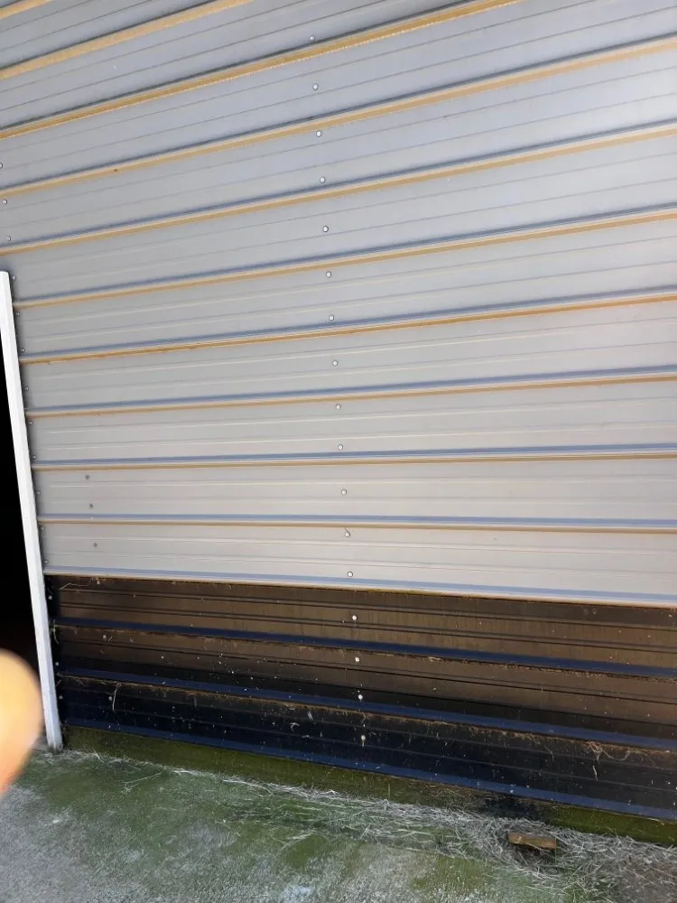 Custom lawn care service in Belton, SC - All American Landscape & Pressure Washing