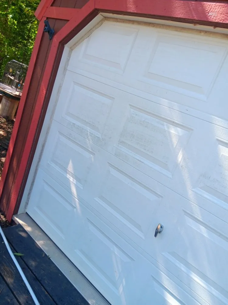 Top-rated yard cleanup service in Belton, SC by All American Landscape & Pressure Washing