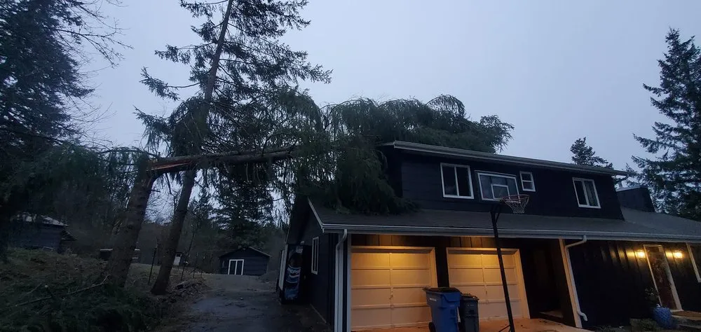 Affordable landscape design with custom design in Vancouver, WA by All American Landscape and Tree Services