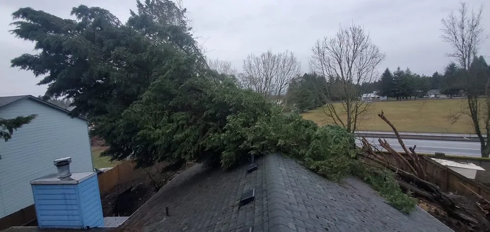 Reliable residential landscaping in Vancouver, WA by All American Landscape and Tree Services