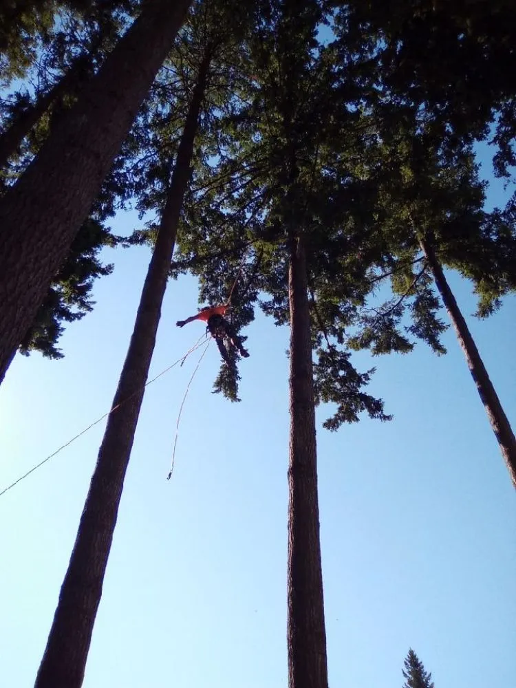 Trusted landscape design for beautiful yards across Vancouver, WA - All American Landscape and Tree Services