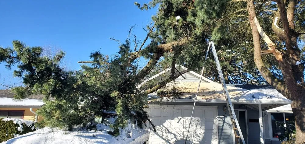 Affordable yard cleanup service with custom design across Vancouver, WA - All American Landscape and Tree Services