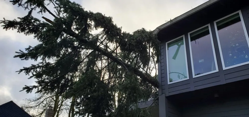 Affordable landscaping services in Vancouver, WA by All American Landscape and Tree Services