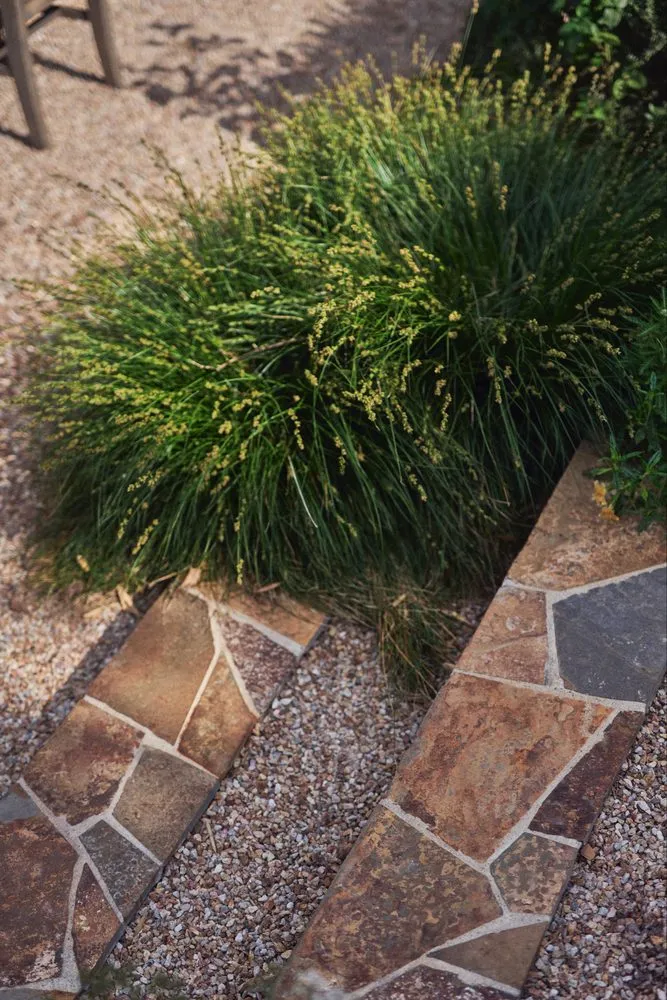 Custom residential landscaping experts serving Los Angeles, CA - All American Landscape