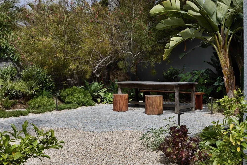 Expert yard cleanup service in Los Angeles, CA - All American Landscape