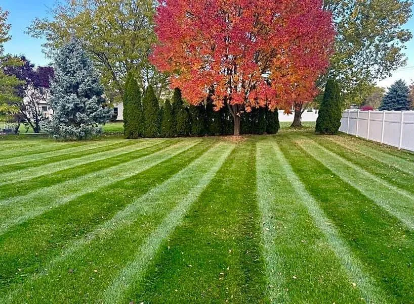 Custom landscape installation for homes across Comstock Park, MI - All American Landscape Management