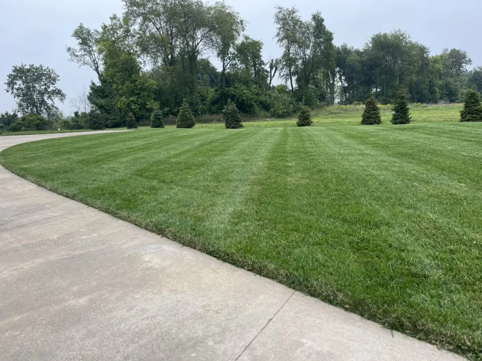 Reliable landscaping services for beautiful yards across Comstock Park, MI - All American Landscape Management