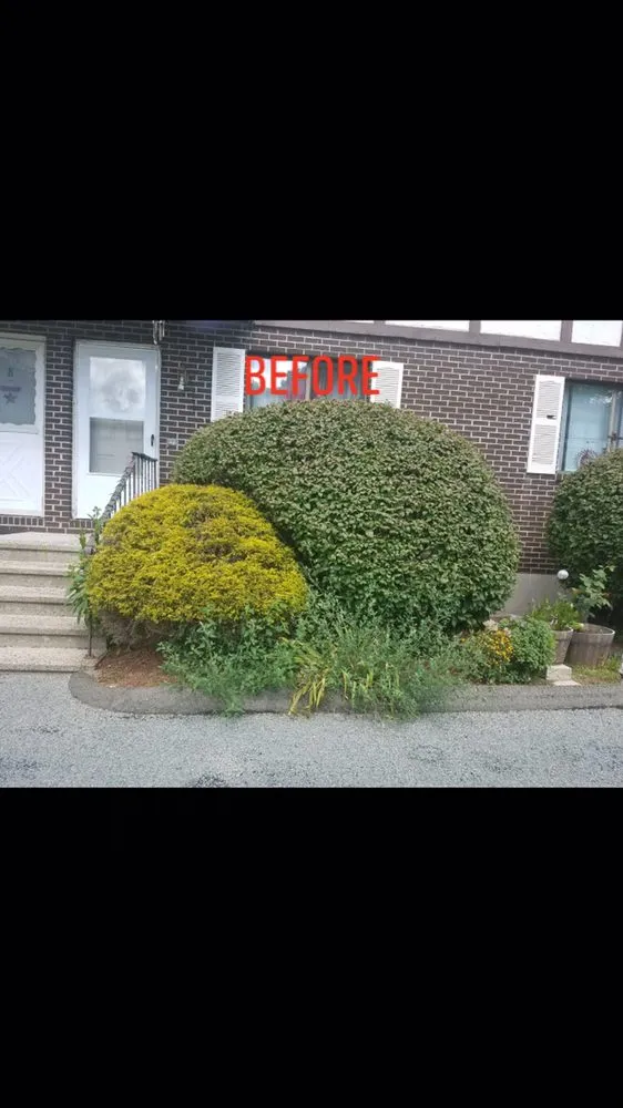 Local landscape installation experts serving Torrington, CT - ALL American Landscape