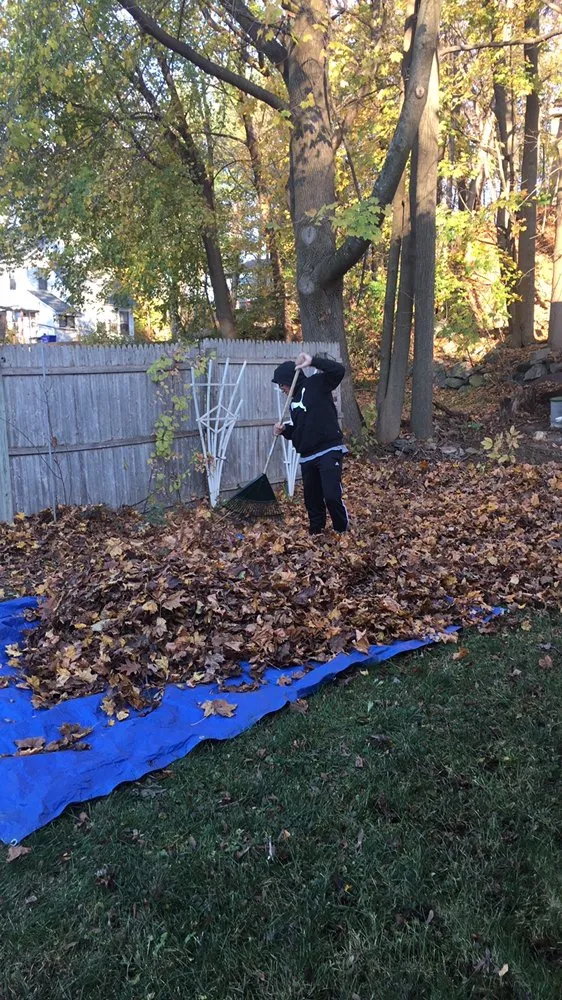 Professional yard cleanup service for year-round maintenance in Torrington, CT by ALL American Landscape