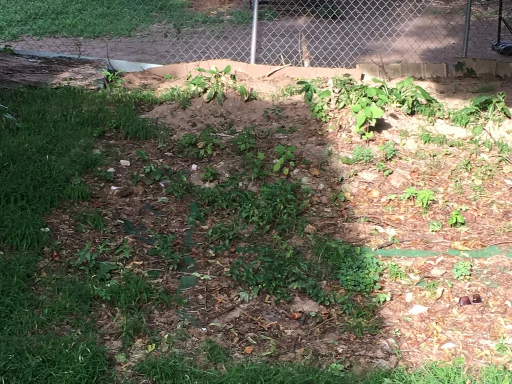 Reliable lawn mowing service in Torrington, CT by ALL American Landscape