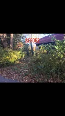 ALL American Landscape Logo