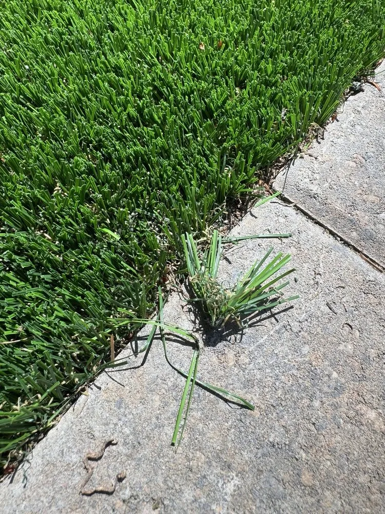 Professional lawn mowing service for outdoor upgrades across Battle Ground, WA - All American Landscaping & Maintenance