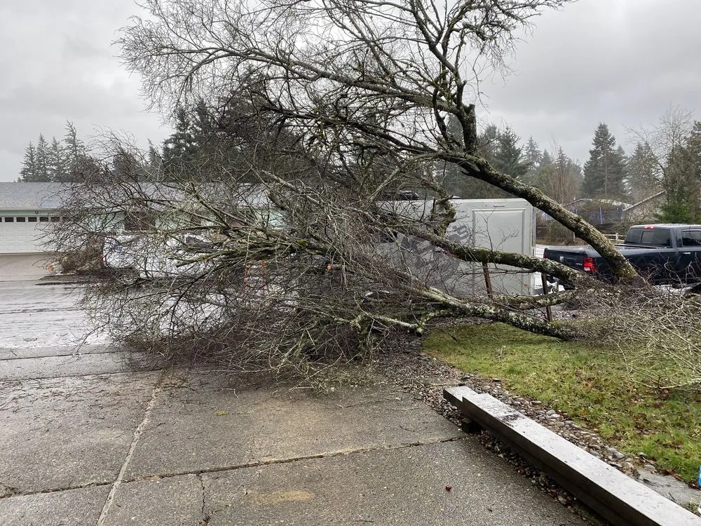 Top-rated landscape installation for residential properties across Battle Ground, WA - All American Landscaping & Maintenance