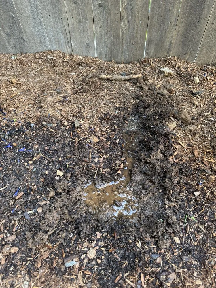 Custom residential landscaping experts serving Battle Ground, WA - All American Landscaping & Maintenance