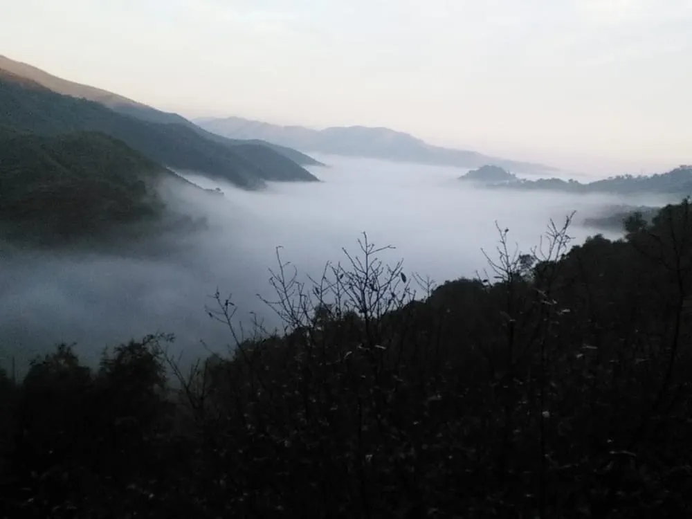 Local lawn mowing service experts serving Atascadero, CA - All American Landscaping