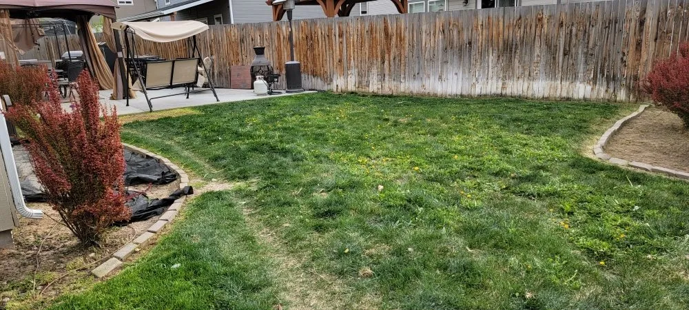 Reliable landscaping services in Nampa, ID - All American Landscaping