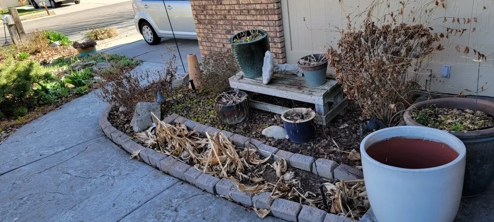 Local yard maintenance in Nampa, ID by All American Landscaping
