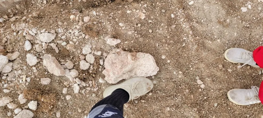 Trusted landscaping services for residential properties in Nampa, ID by All American Landscaping