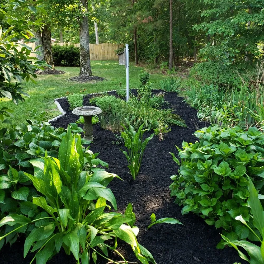 Custom landscape installation for outdoor upgrades across Prince George, VA - All American Landscaping