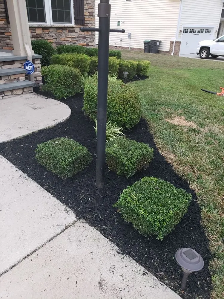Local landscaping services for homes in Prince George, VA by All American Landscaping