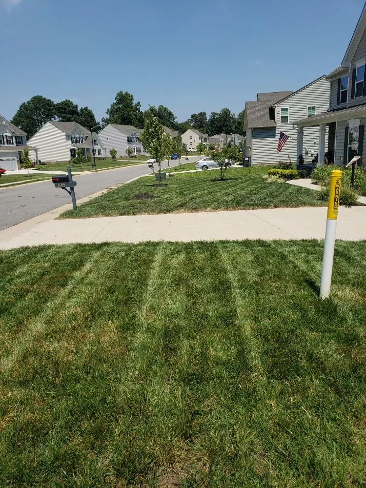 Custom residential landscaping experts serving Prince George, VA - All American Landscaping
